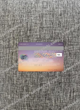 Afghanistan New Kabul Bank mastercard photolook back